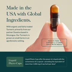 Turmeric curcumin and bioavailability imagery