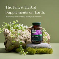 Gaia Herbs Milk Thistle capsules on white background