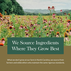 Ashwagandha root and other herbs collection imagery