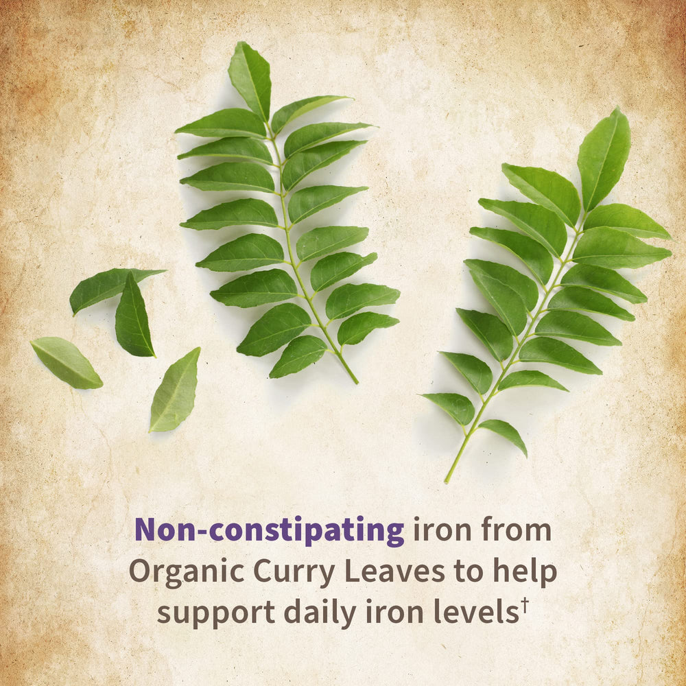 B vitamins for energy support in the prenatal formula