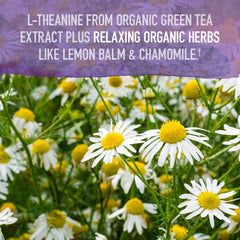 Passionflower included in Sleep Well ingredients