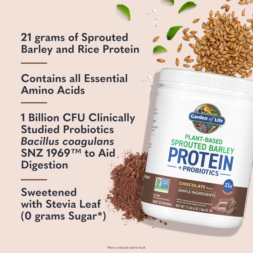 Close-up of chocolate protein powder in a scoop