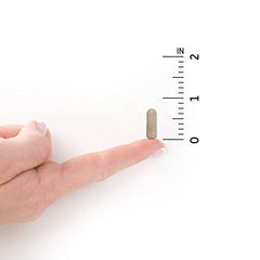 120 vegetarian capsules in bottle