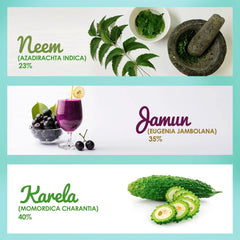 500ml bottle labeled Garden of Nutrition Neem Karela Jamun Juice