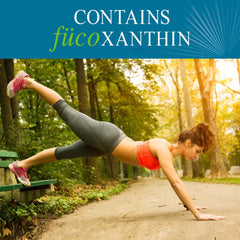 Xanthigen blend label highlighting fucoxanthin and pomegranate seed oil