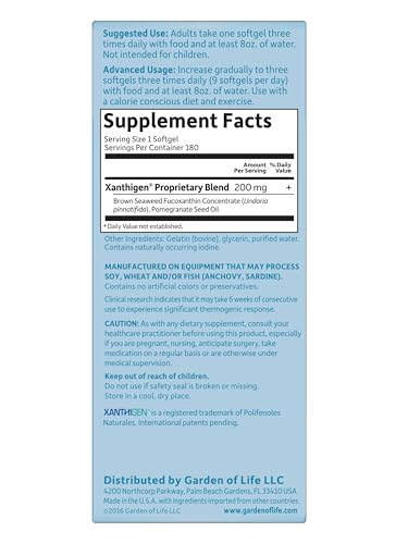 Wellness lifestyle image representing weight management and health