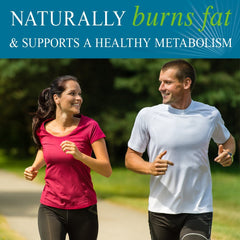 Close-up of fucoxanthin-rich brown seaweed extract