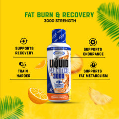 Gaspari Nutrition Liquid L-Carnitine 3000 flavor swatch communicates orange-pineapple appeal
