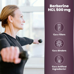 Graphic illustrating gastrointestinal support from berberine