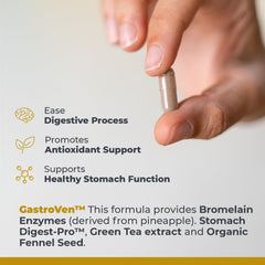 Natural ingredients used in GastroVen digestive enzyme supplement