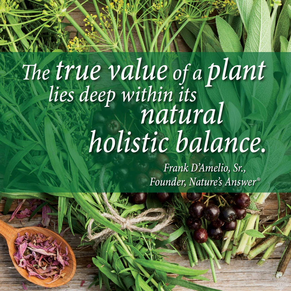 Close-up of Genceutic Naturals Plant Head Protein Powder Vanilla tub