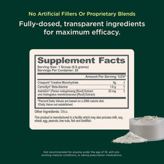 Measuring scoop with Genius Creatine powder