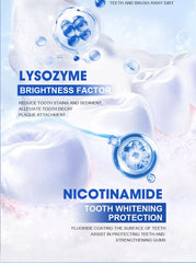 Gentle mint flavor infographic