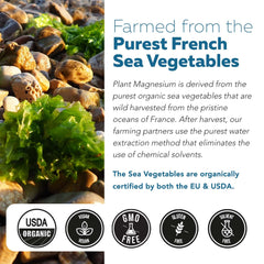 Gentle on digestive system magnesium