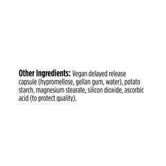 Illustration depicting urinary tract health and probiotics