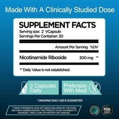 Graphic illustrating liposomal NR absorption and mitochondria