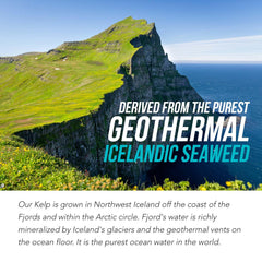 Geothermal Icelandic seaweed mineral complex texture