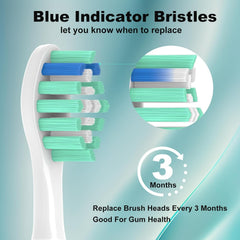 Blue indicator bristles on GERAGER heads for replacement reminders