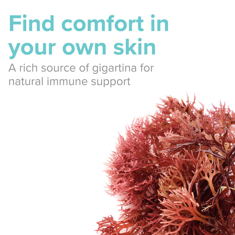 Capsules representing plant-based immune supplement