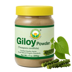 Bottle of BASIC AYURVEDA Giloy Powder 200g front view
