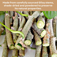 Organic Tinospora Cordifolia stem used for Giloy powder