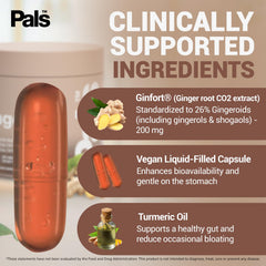 Ginger root capsules bottle with 30-day supply label