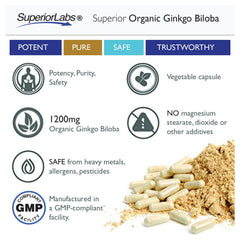 Memory and focus support from Ginkgo Biloba