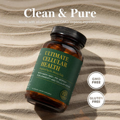 cGMP certified manufacturing facility