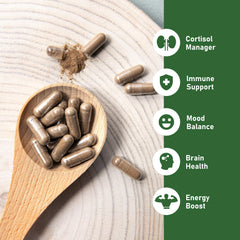 Moringa leaf and organic mushroom imagery for GlowEver