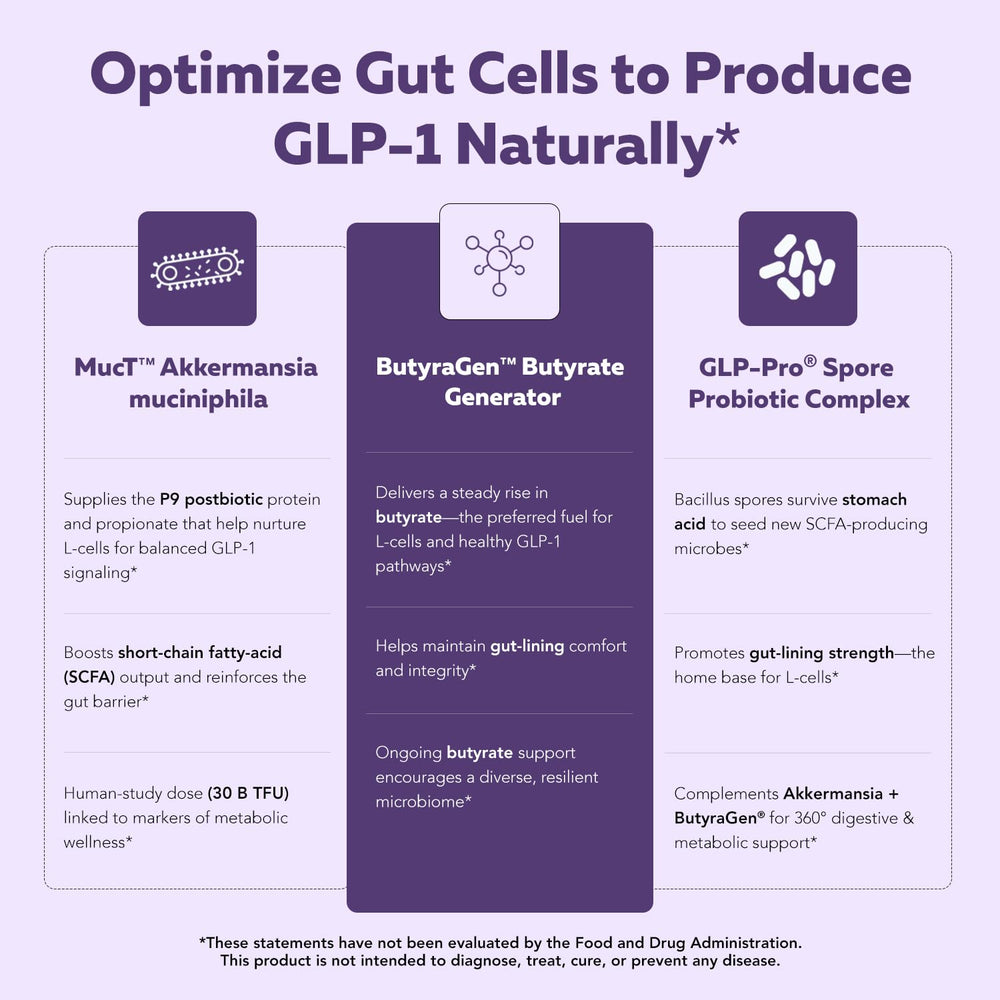 Spore-forming Bacillus probiotic illustration