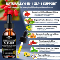 Berberine HCl 500mg ingredient label for GLP-1 Drops