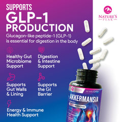 Graphic showing GLP-1 production support from probiotic capsules