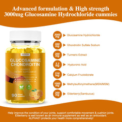Ingredients panel of Glucosamine Chondroitin Gummies