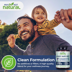 Glucosamine, chondroitin, and MSM ingredients