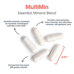 Illustration of glutamic acid aiding mineral absorption