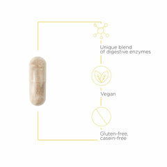 Gluten and casein digestion support