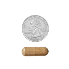 Ingredients highlight: gluten-free, dairy-free, soy-free