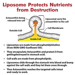 Gluten-free and allergen-free label on packaging