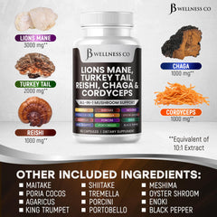 Gluten-free, non-GMO, dairy-free supplement ingredients