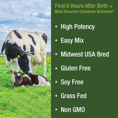 Gluten-free, soy-free, non-GMO colostrum powder