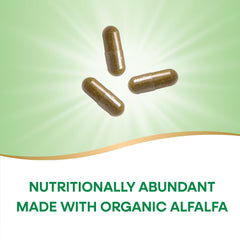 Gluten-free vegan alfalfa capsules