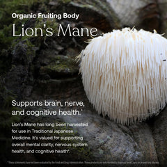 Gluten-free and vegan packaging of the multivitamin