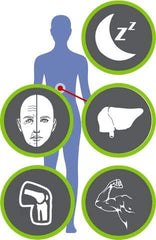 Image showing suggested daily use for Glycine 500 mg capsules