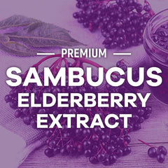 GMP-certified production facility for elderberry gummies