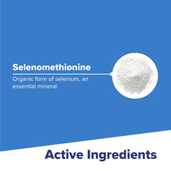 GMP-certified manufacturing facility