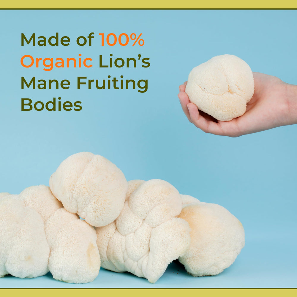 Naturealm GMP-certified facility manufacturing Lions Mane tinctures