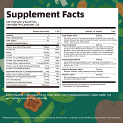 Manufacturing at a GMP-certified facility