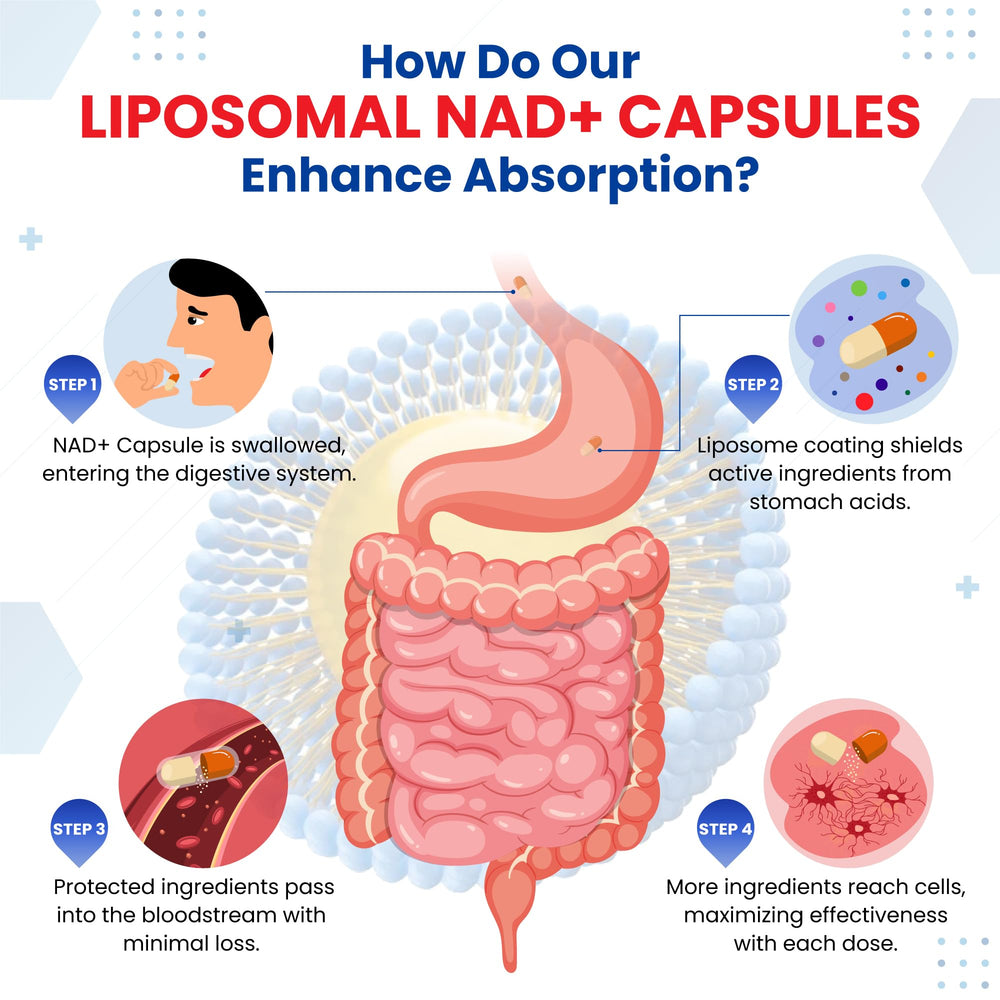 GMP-certified manufacturing facility