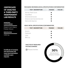 GMP-certified USA manufacturing facility for Lion's Mane - 06