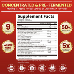 GMP-certified plant-based ingredients banner